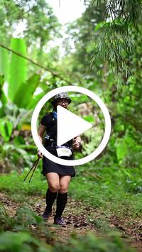 BIB:  <button type="button" onclick="openModal(26824496)" class="btn btn-primary btn-sm float-right" data-toggle="modal" data-target=".modal-high-quality">
                <i class="fa fa-download"></i> Download
                </button>